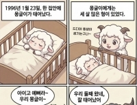 기사이미지